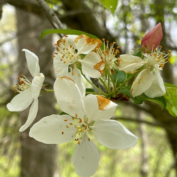 Meet your Posher, Jessica - Picture 1 of 1